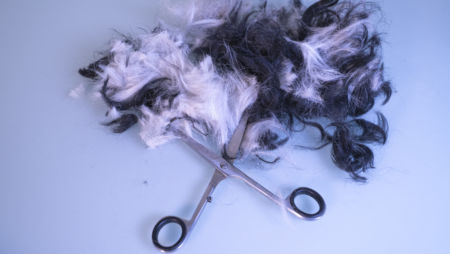 Hofmann_20190215-_DSC0663