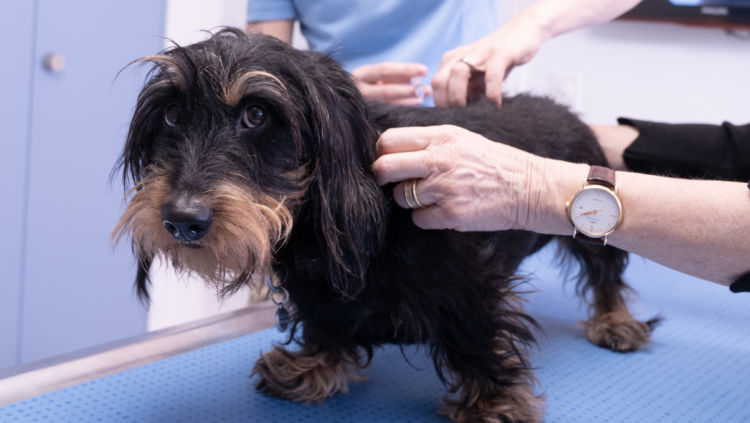 Allgemein-Hofmann_20190205-_DSC9638__05.-Februar-2019